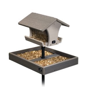 BirdReel Smart Bird Feeder - Now Available at more than 140 Wild Birds