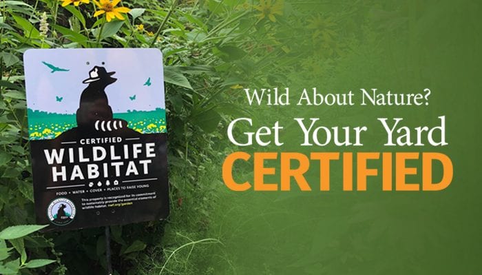 Certifying Your Yard or Garden as a Wildlife Habitat